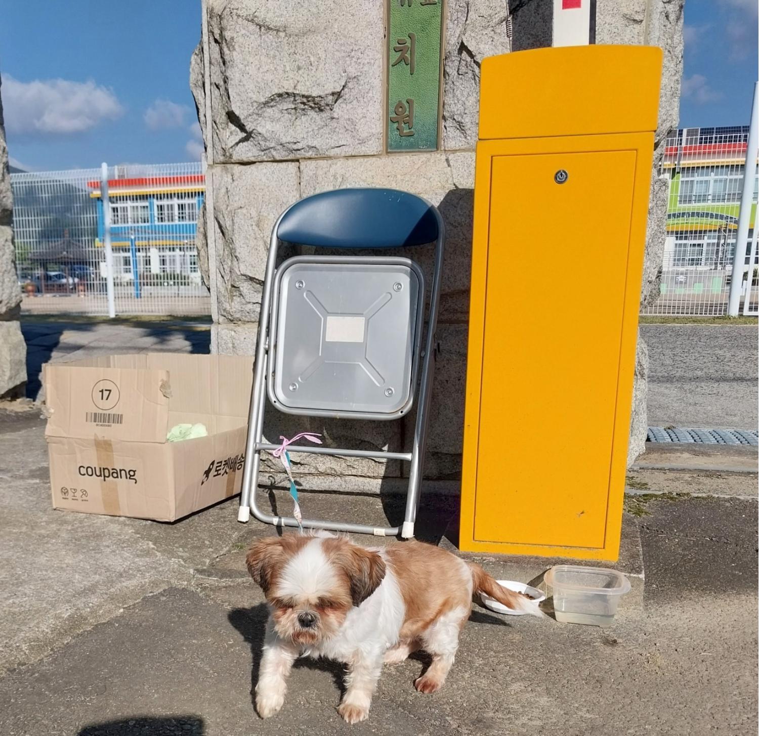 시츄
